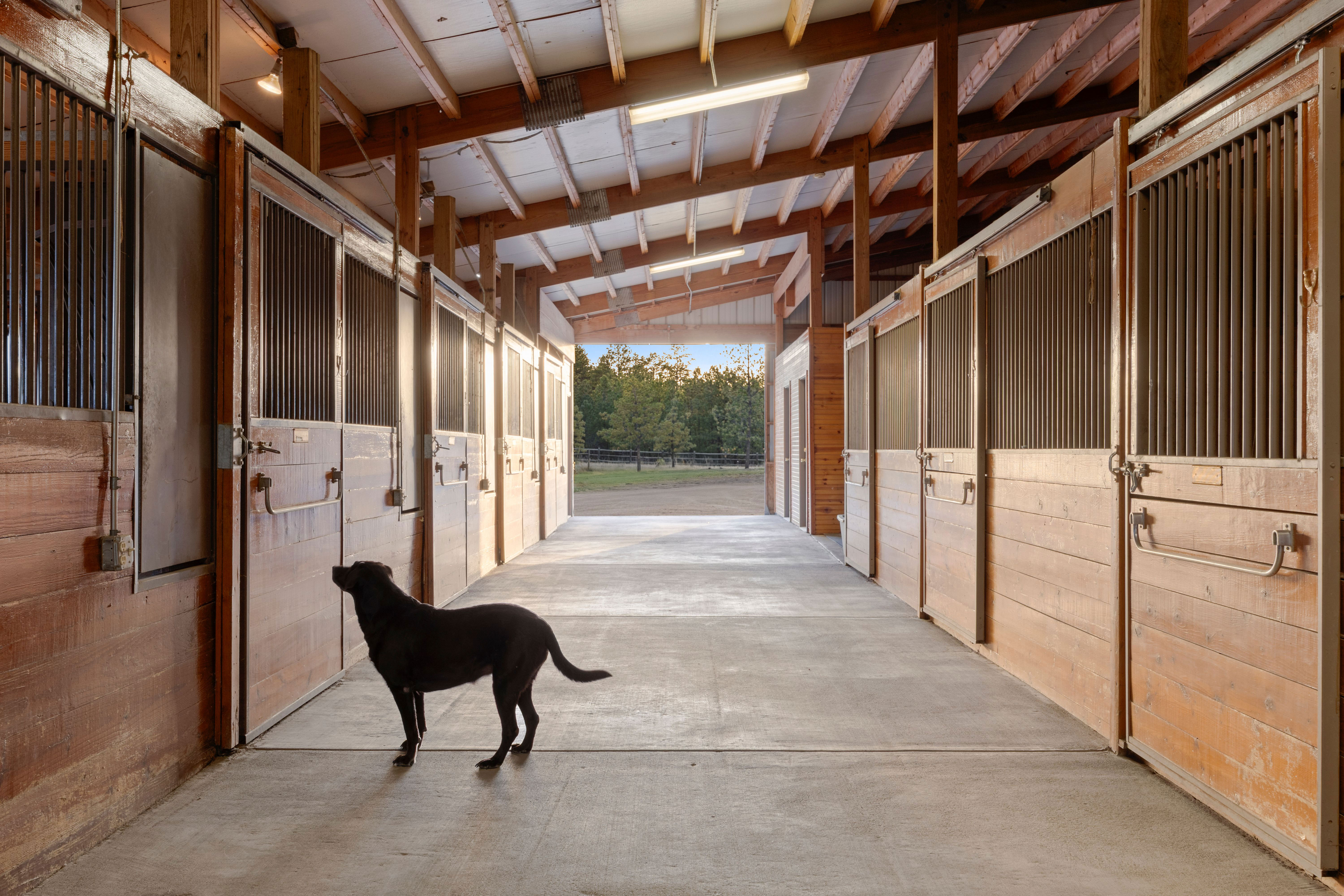  Equestrian Desert Contemporary Estate with Stable & Indoor Arena - 物件實景