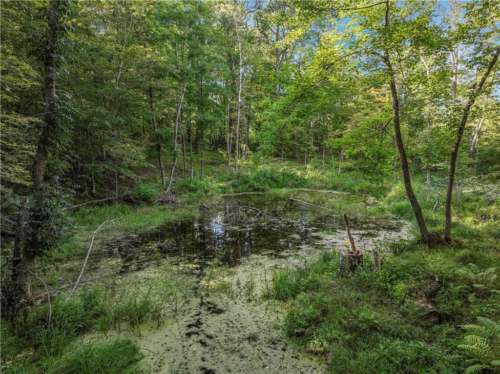 Chetek, Wisconsin, 54728, United States, 2 Bedrooms Bedrooms, ,2 BathroomsBathrooms,Residential,For Sale,1939272