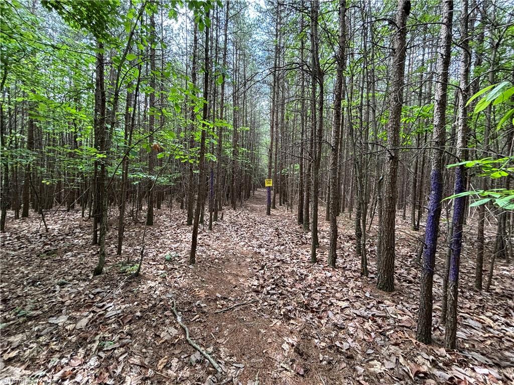Pinnacle, North Carolina, 27043, United States, ,Land,For Sale,1829534