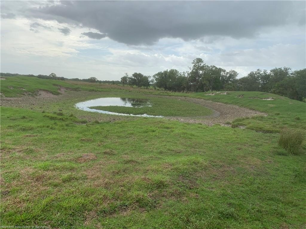 Venus, Florida, 33960, United States, ,Land,For Sale,1984372