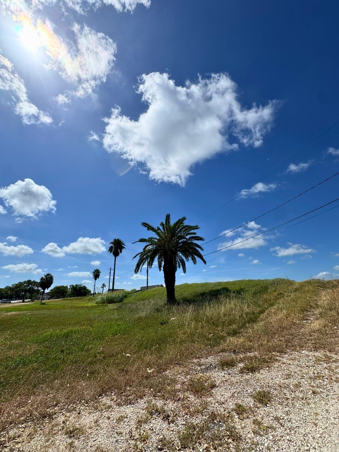 Freeport, Texas, 77541, United States, ,Land,For Sale,1980706