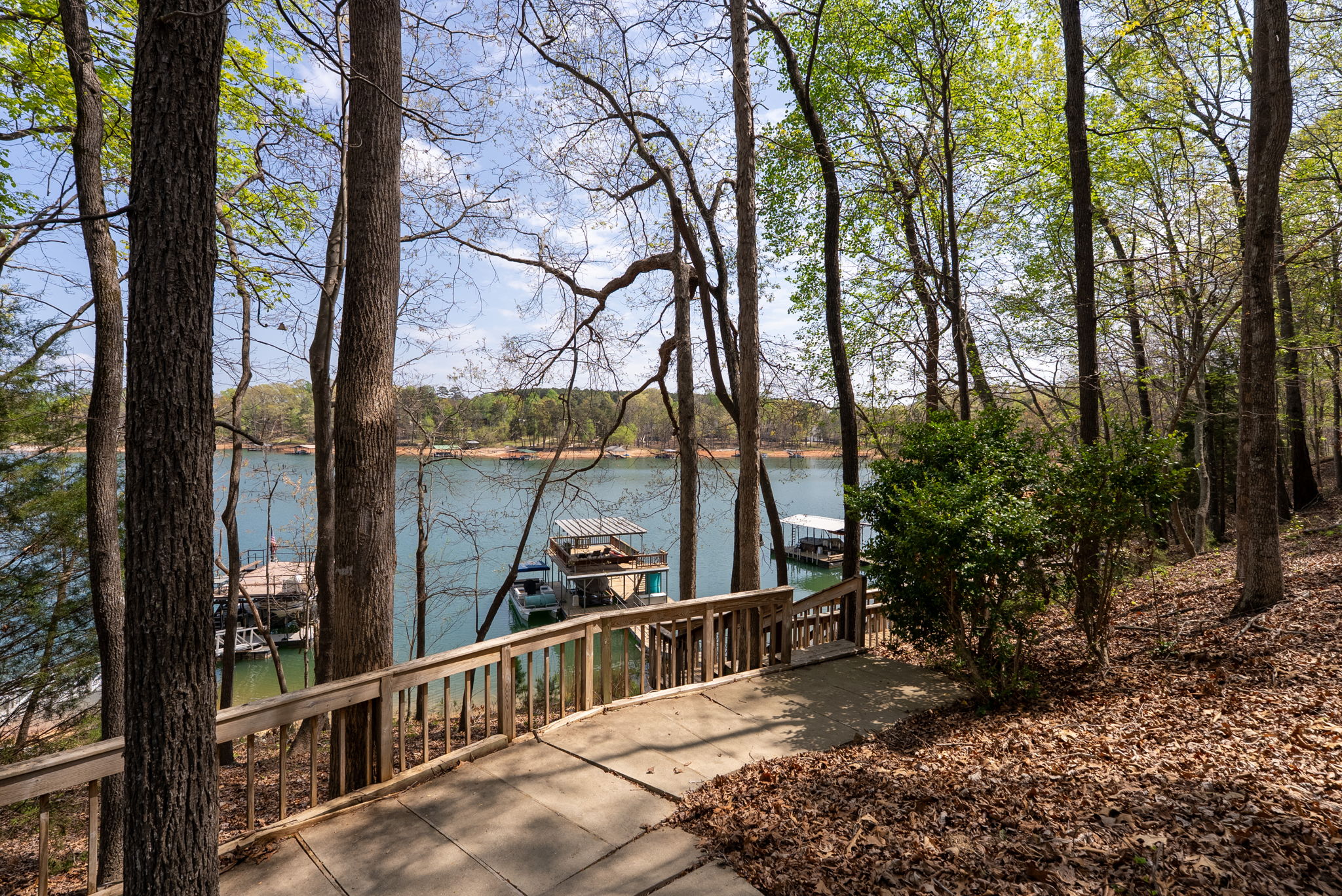  1002 Whitfield Point Road, Anderson, SC 29626 - 物件實景
