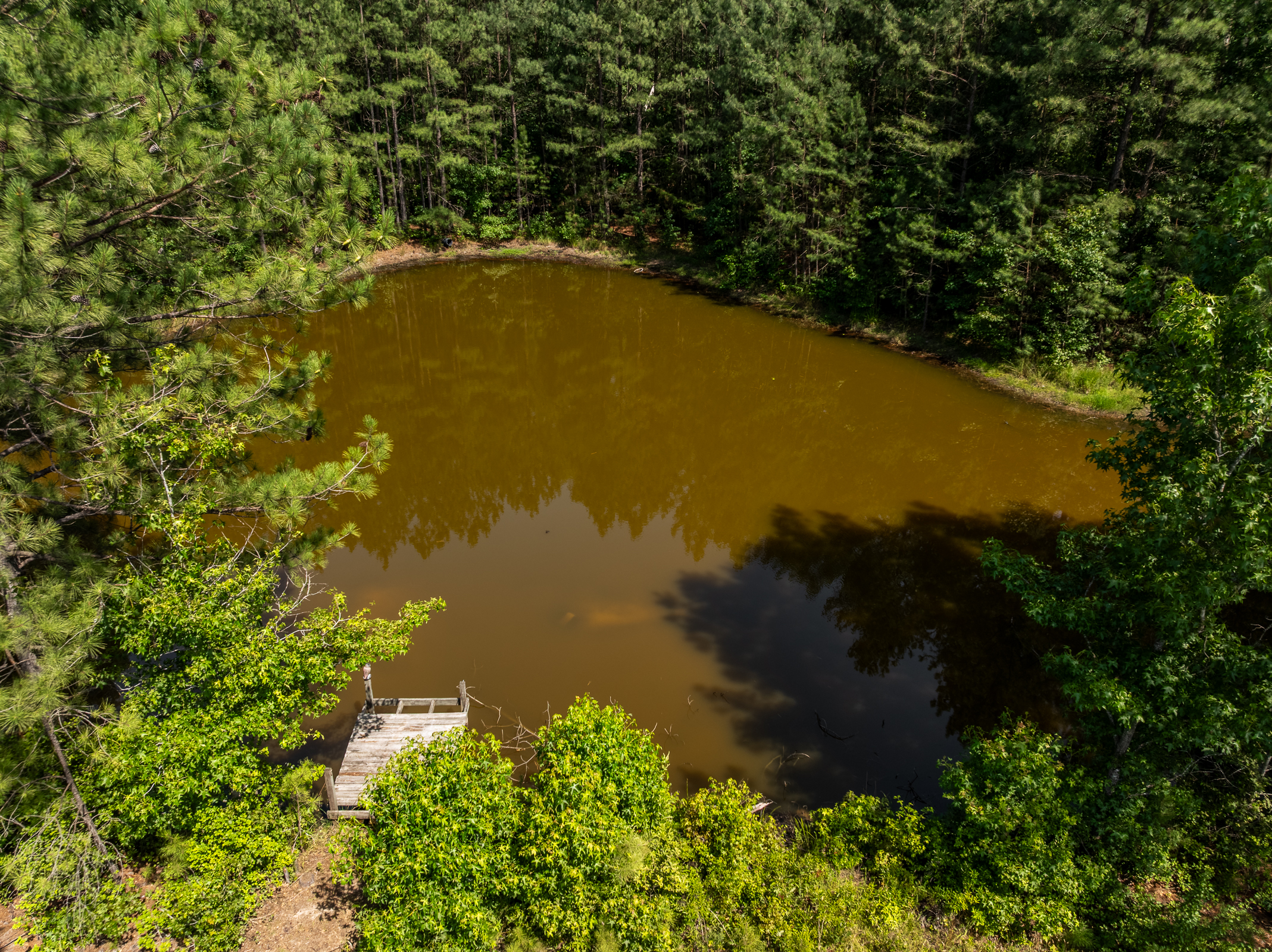  12289 Cedar Lane, Hanover, VA 23005 - 物件實景