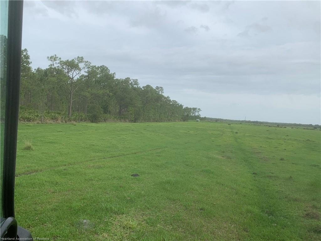 Venus, Florida, 33960, United States, ,Land,For Sale,1984372