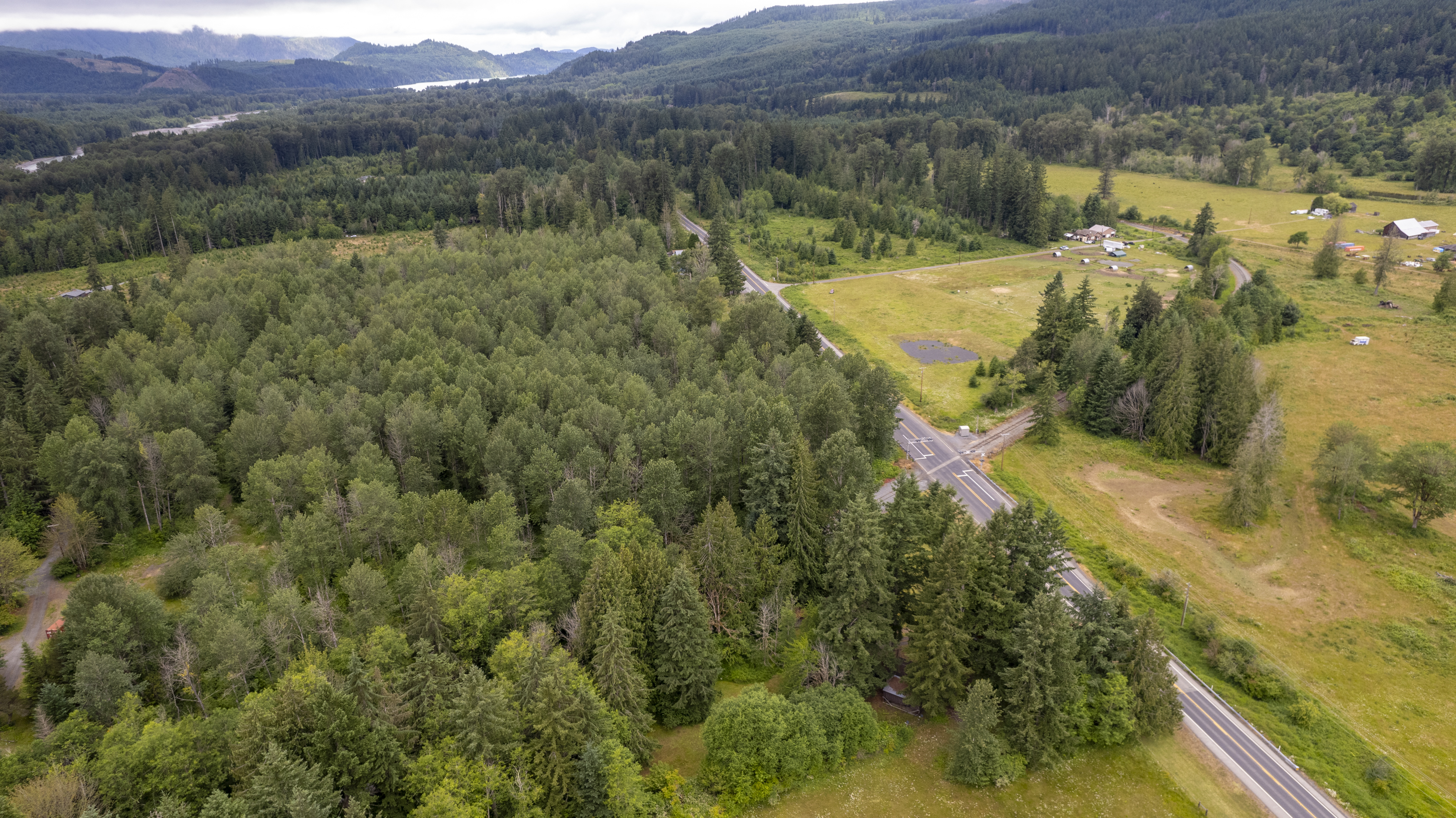  22204 State Route 706 E, Elbe, WA, 98330 - 物件實景