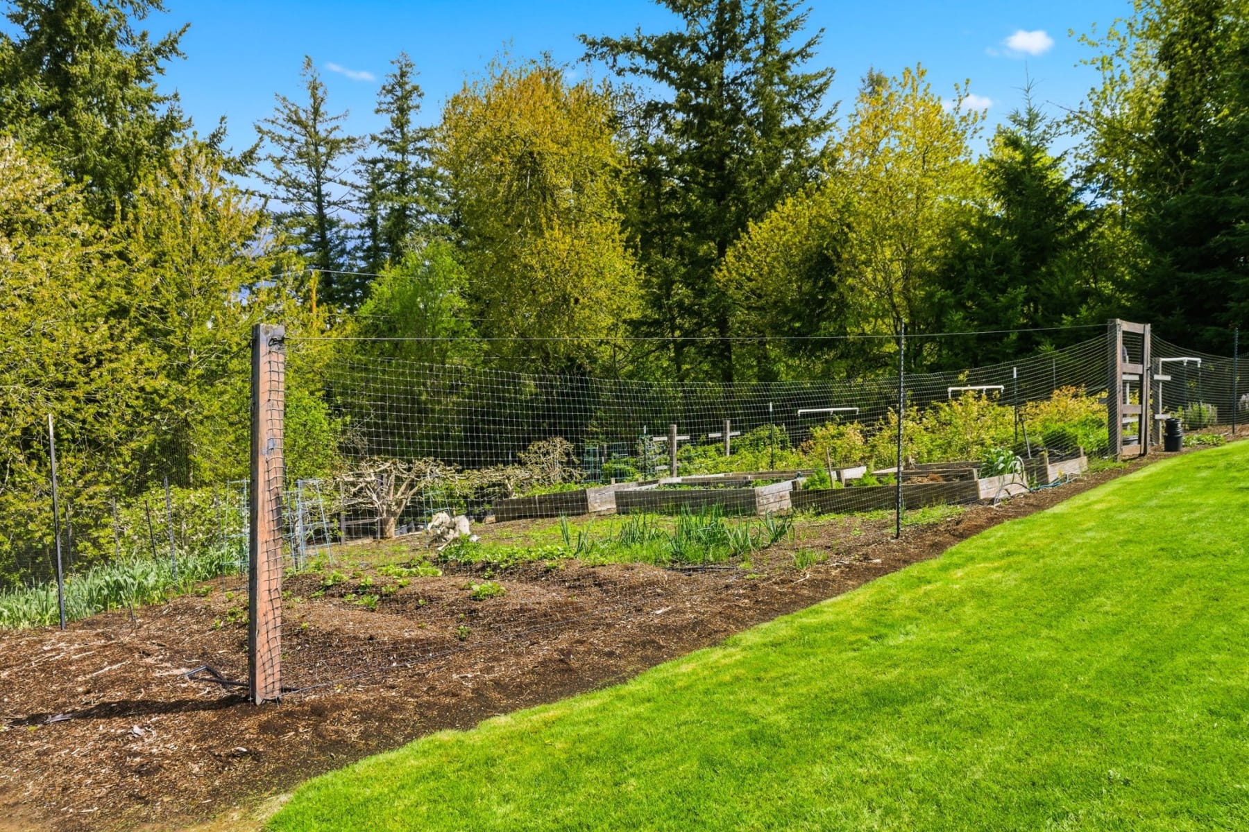  19420 S ELMA ST West Linn, OR 97068 - 物件實景