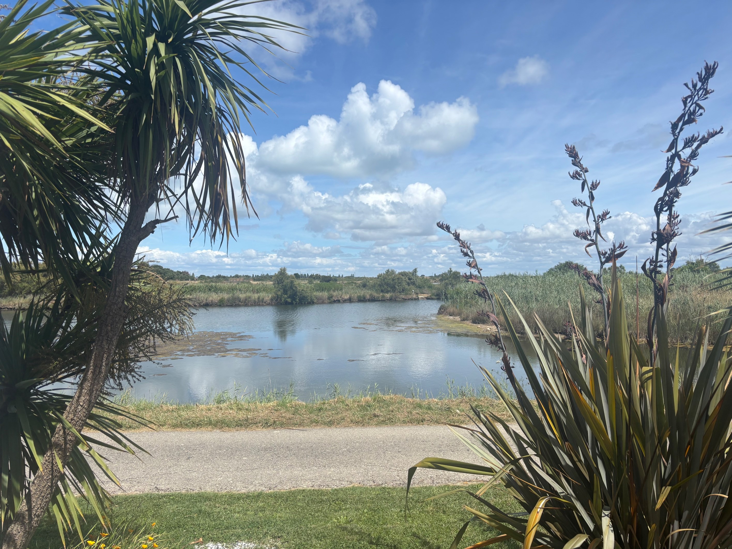  Between marshland and light, a haven of serenity on the Île d