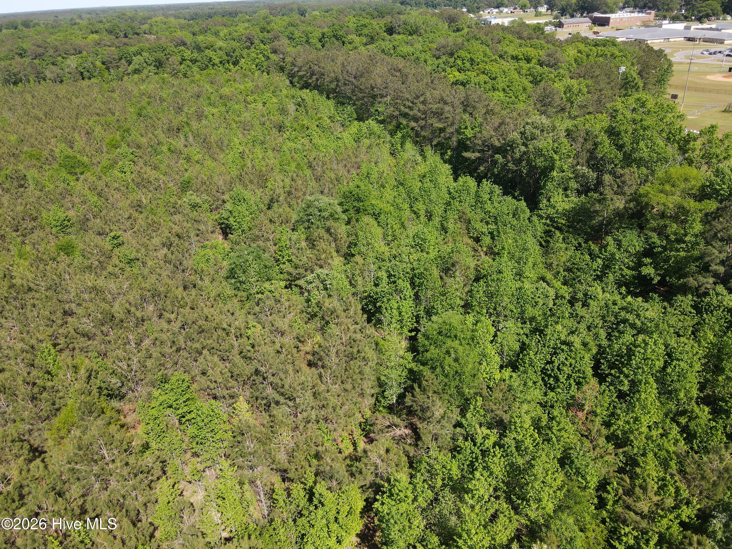 Ahoskie, North Carolina, 27910, United States, ,Land,For Sale,2048833