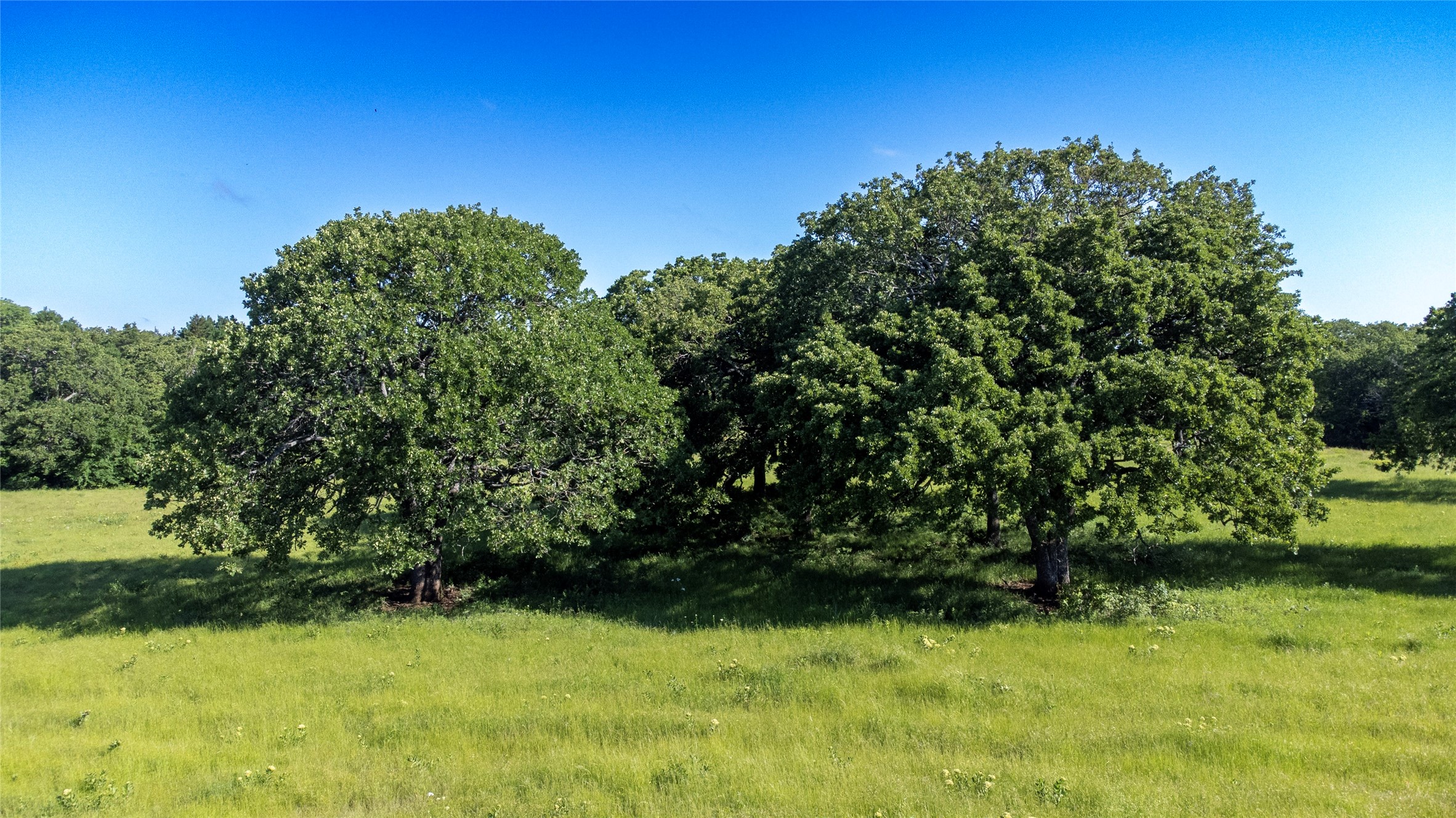 Sadler, Texas, 76264, United States, ,Land,For Sale,1837426