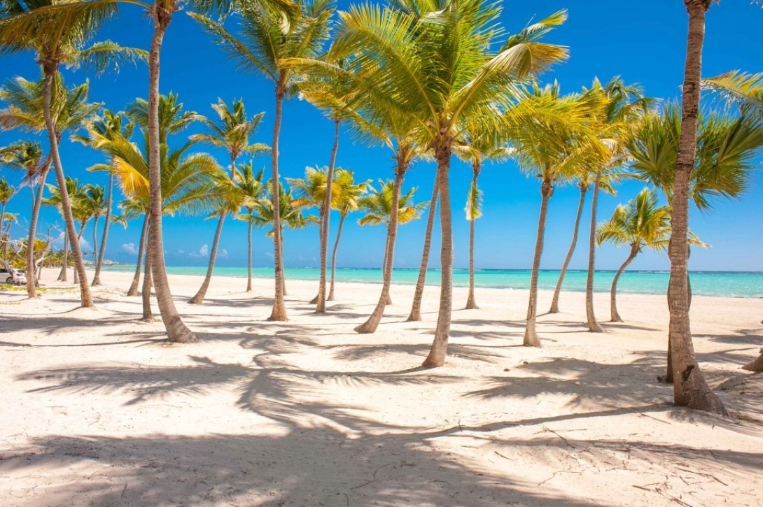 Cap Cana, DO, 5 Bedrooms Bedrooms, ,6 BathroomsBathrooms,Residential,For Sale,1993460