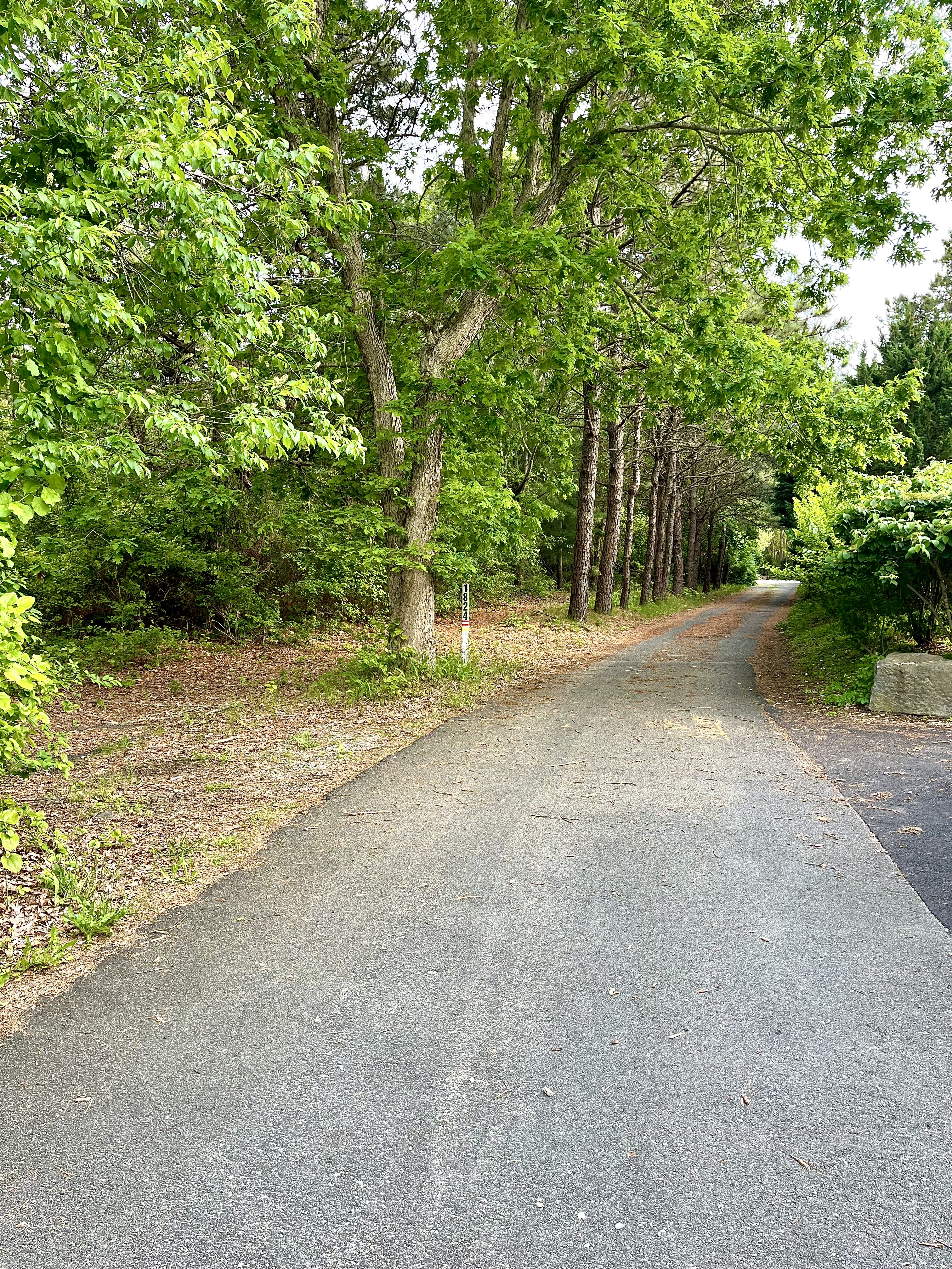 Southampton, New York, 11968, United States, ,Land,For Sale,1836791