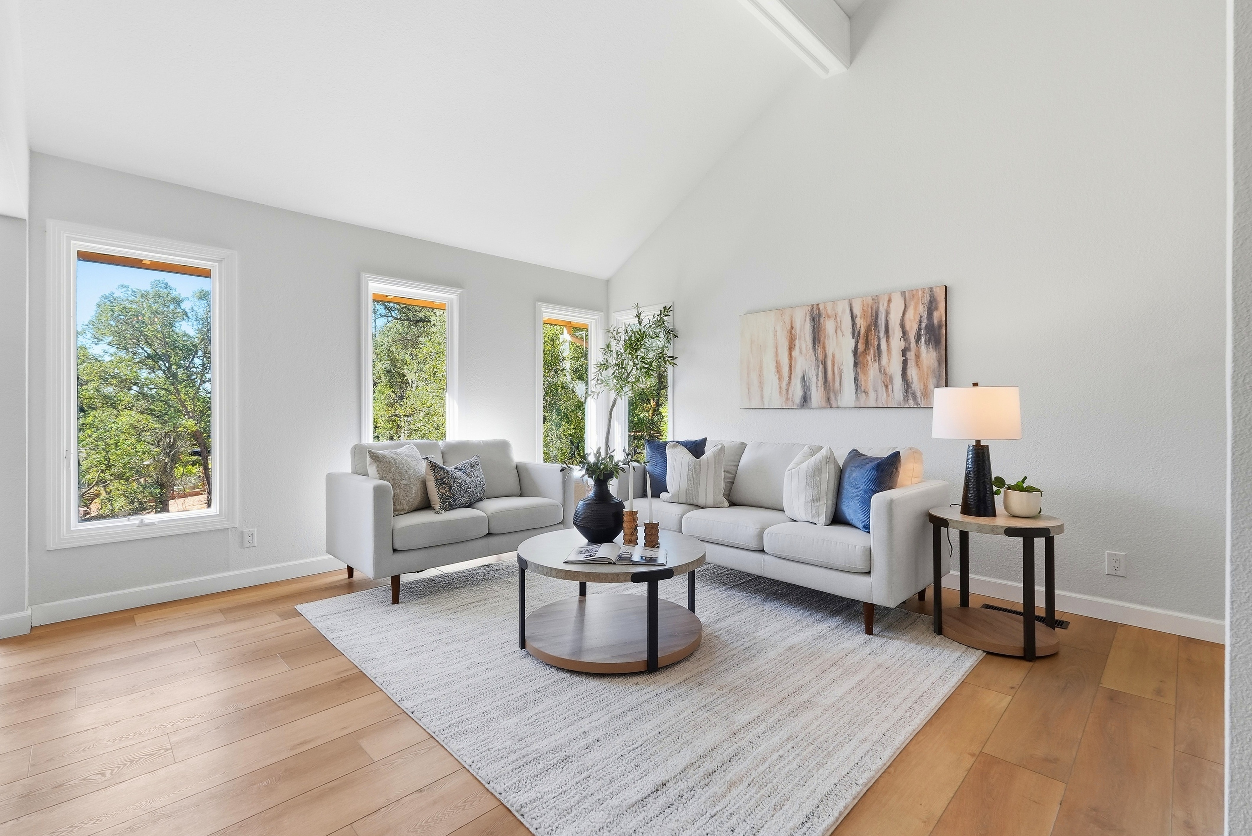  9290 South Ravine Lane, Fair Oaks, CA 95628 - 物件實景
