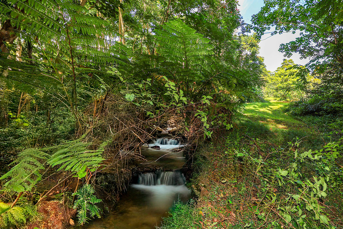 6828-B KUAMOO RD 2, Kapaa, Hawaii, 96746, United States, ,Land,For Sale,6828-B KUAMOO RD 2,1672725