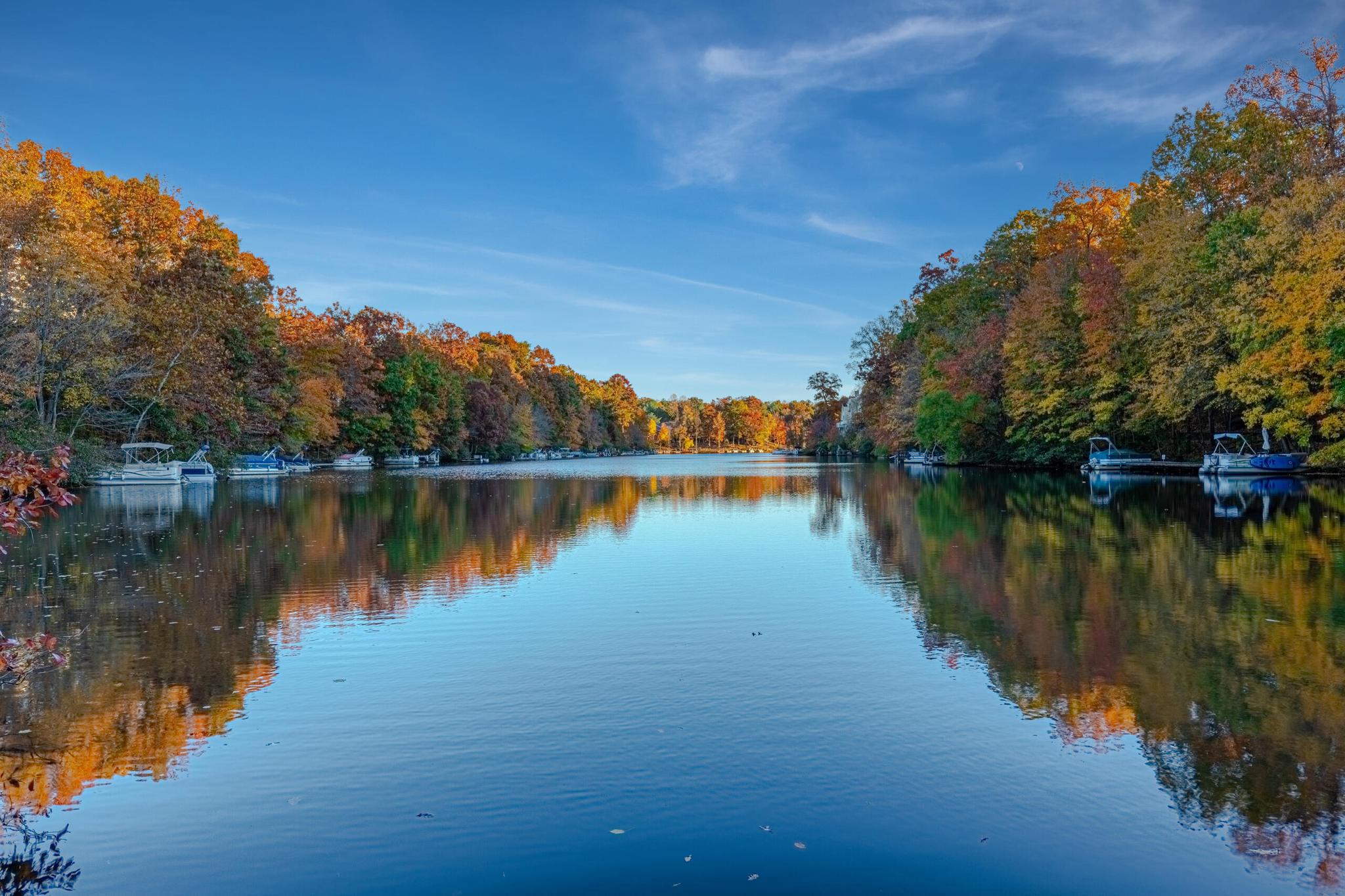  2256 Gunsmith Square, Reston, VA, 20191 - 物件實景