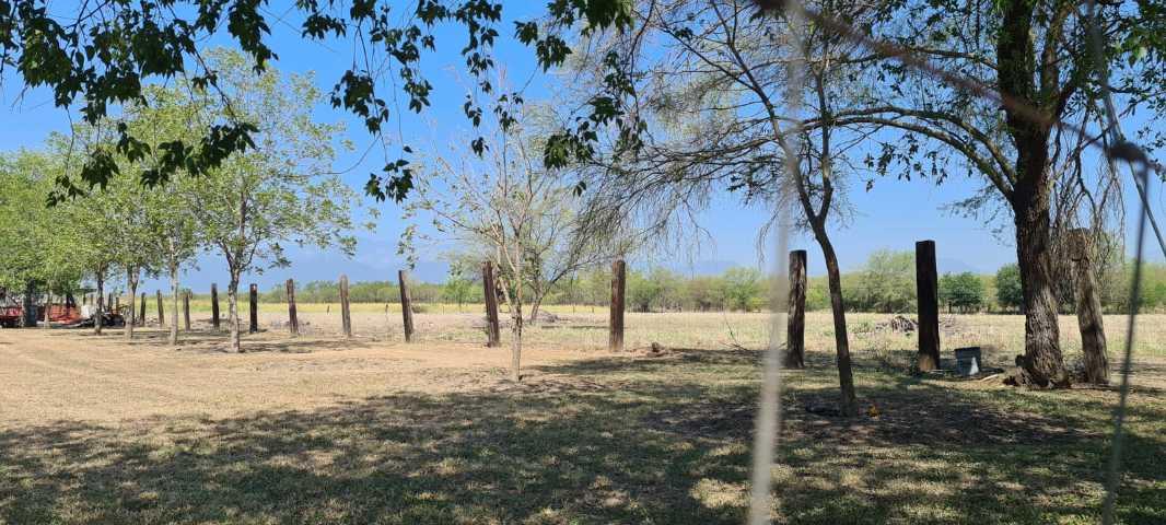 EJI SAN JUAN DE LOS GARZA, Cadereyta Jiménez, Nuevo León, 67459, Mexico, 1 Bedroom Bedrooms, ,Residential,For Sale,EJI SAN JUAN DE LOS GARZA,1440992