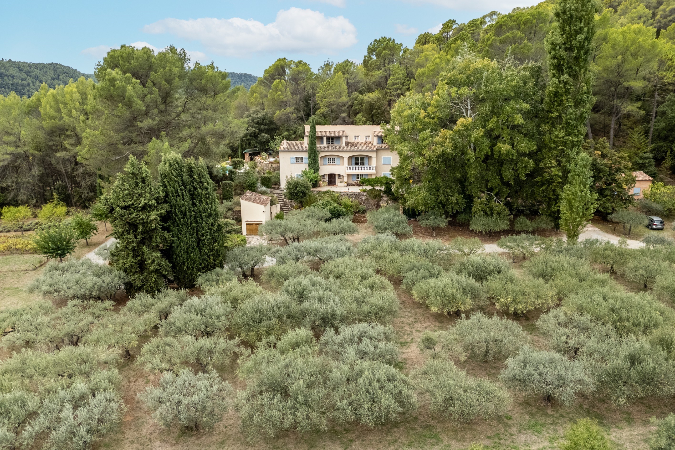  Prestigious Estate with Olive Grove - 物件實景