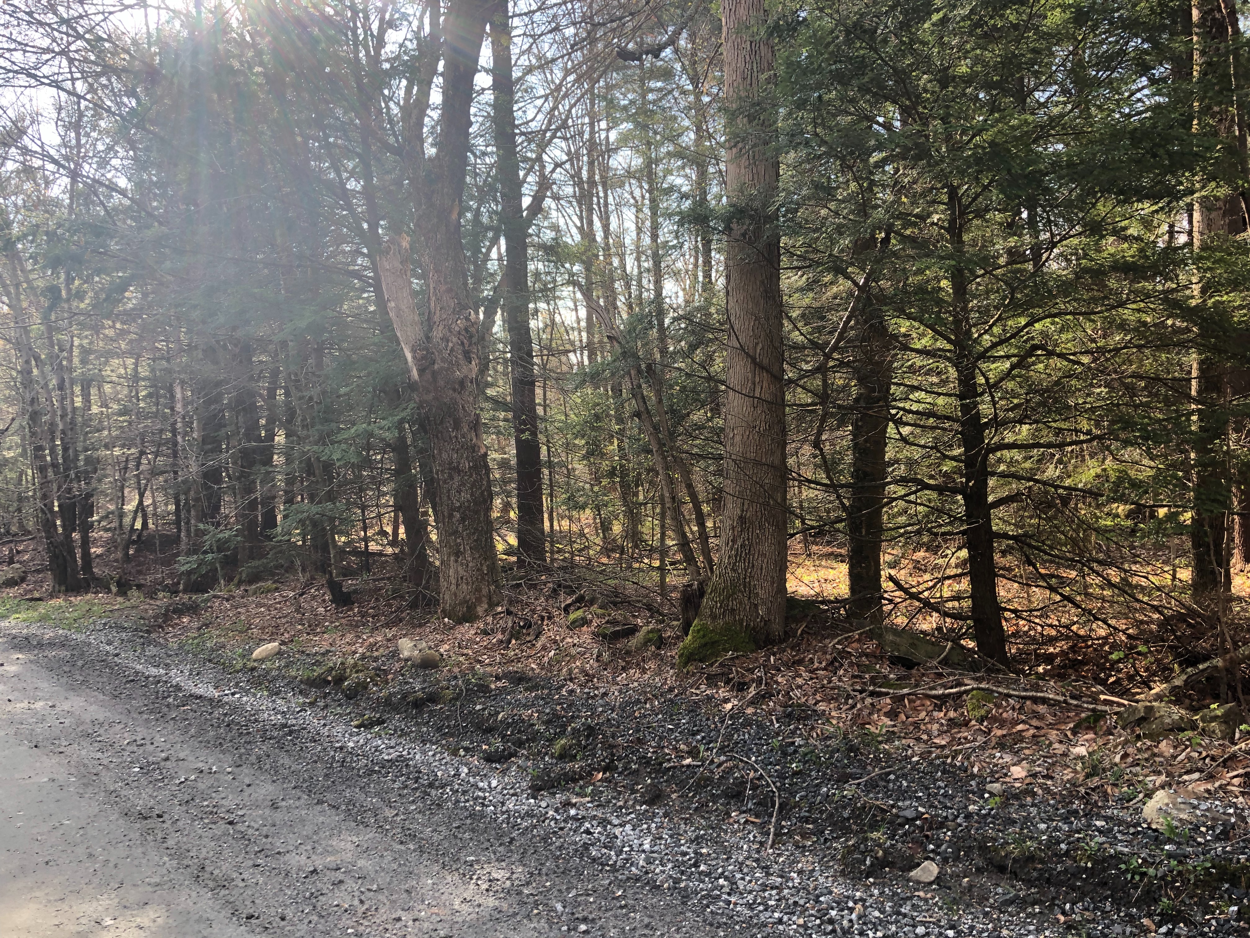  2.8 Acres on Quiet County Road in Otis - 物件實景