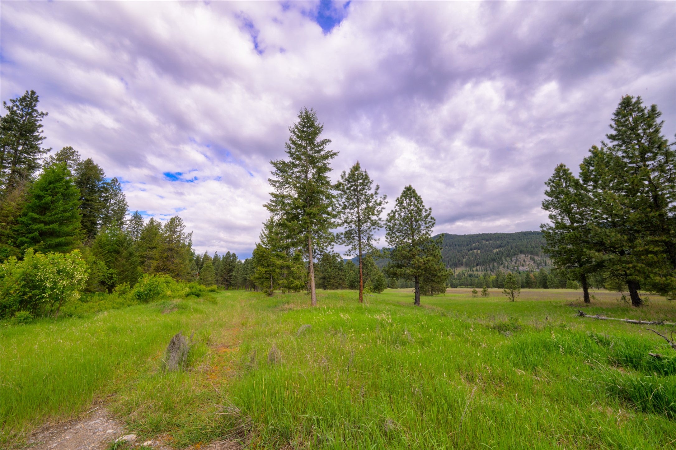 St Regis, Montana, 59866, United States, ,Land,For Sale,1848990