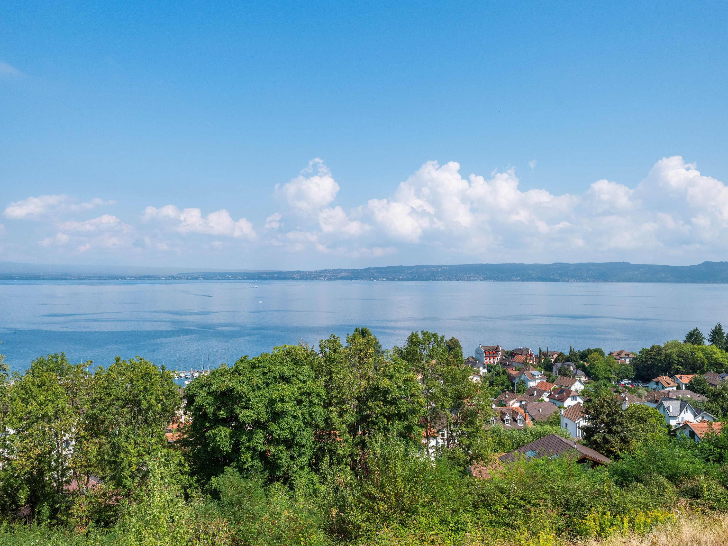  Evian, Top floor 3-bedroom apartment of 80 sq.m, panoramic view on the lake. - 物件實景