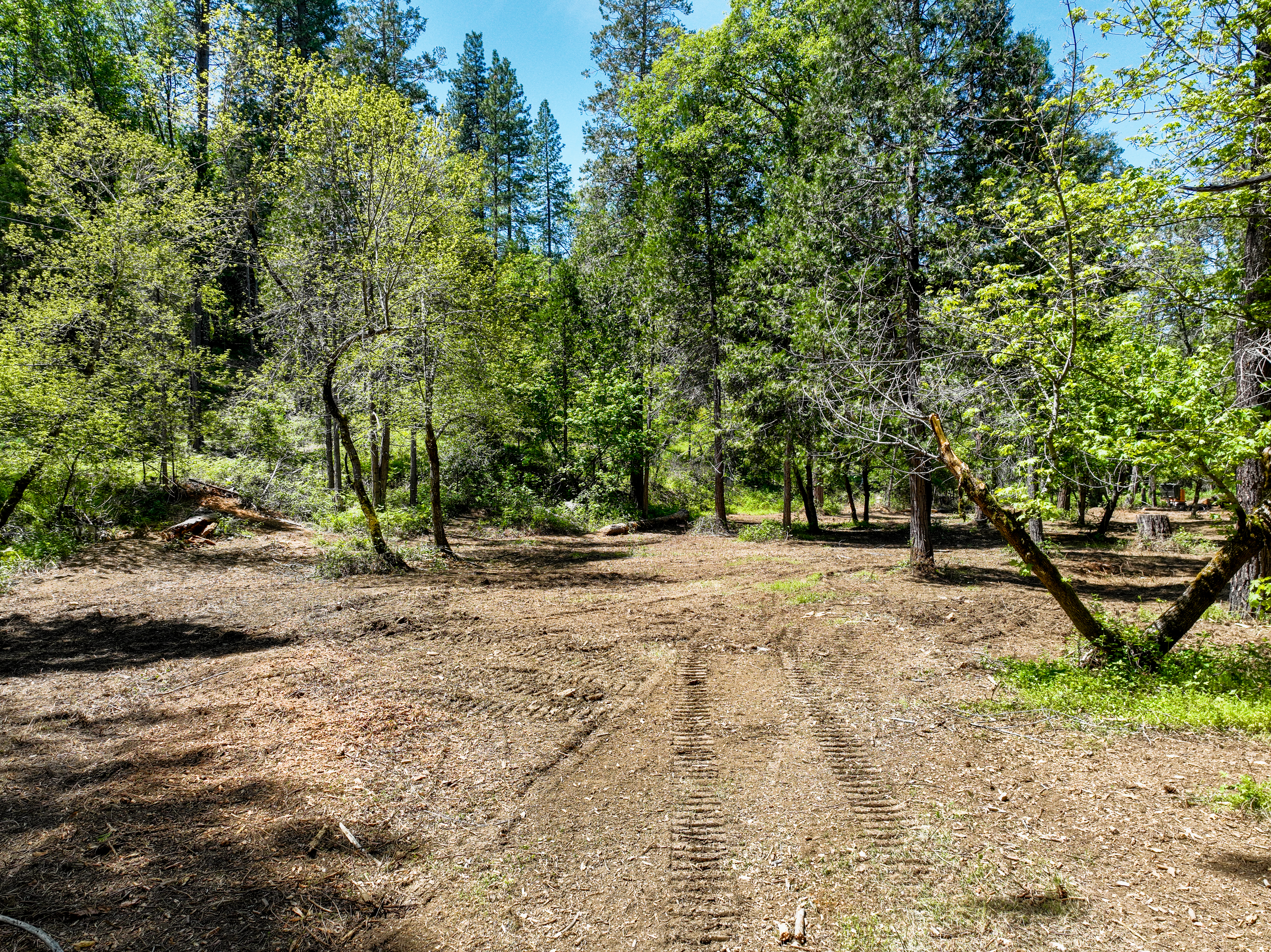  20493 Rector Road, Nevada City, CA 95959 - 物件實景