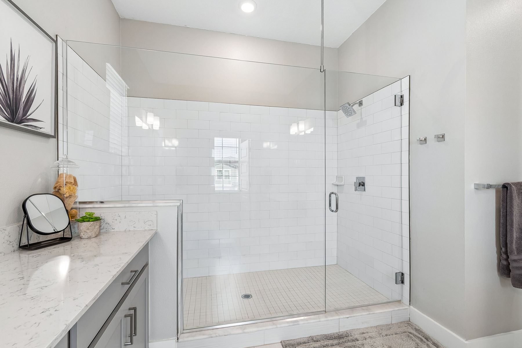  TAMPA - 物件實景