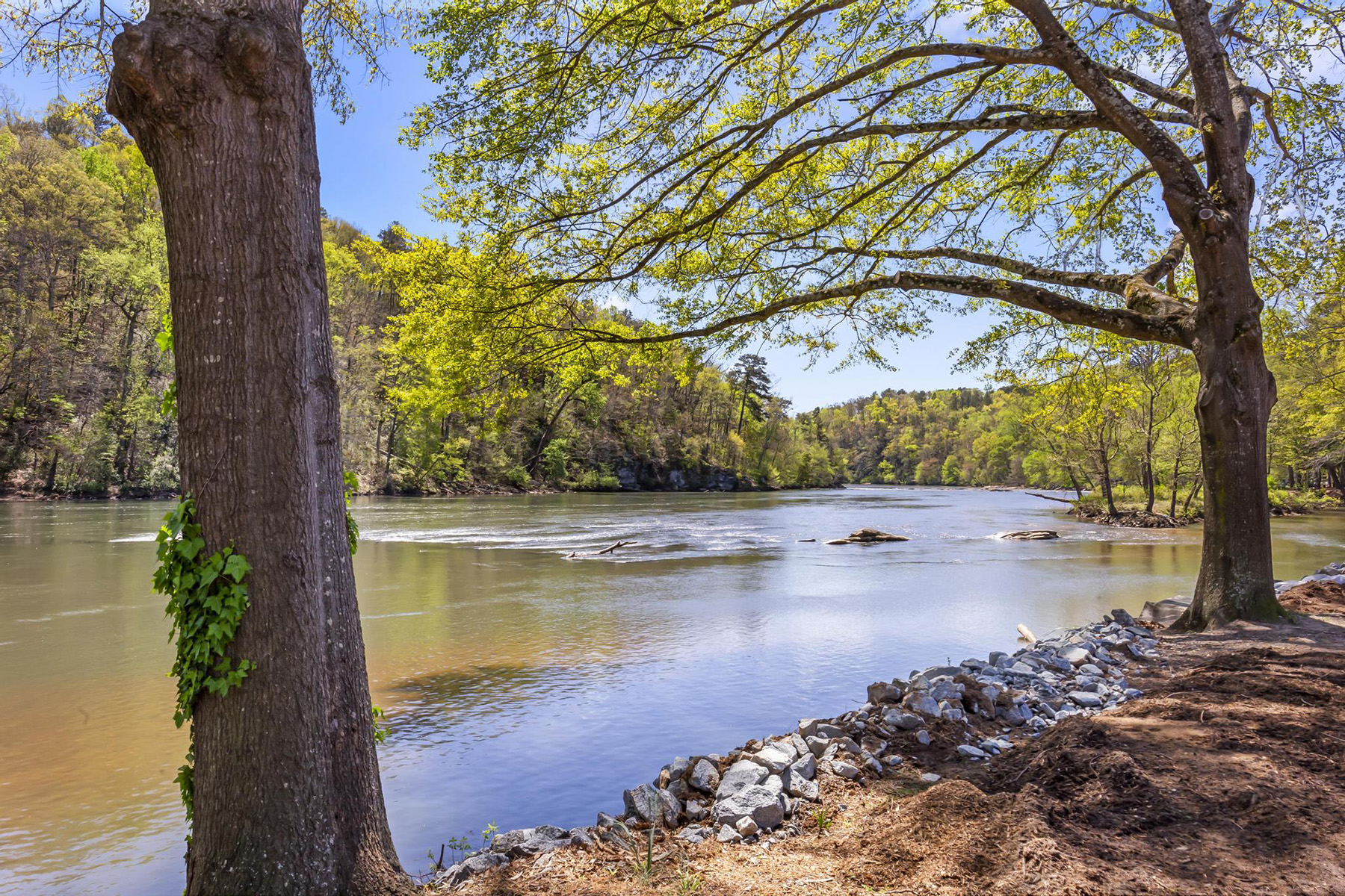  Mid-Century Modern Townhome in Gated Community Along The Chattahoochee River - 物件實景