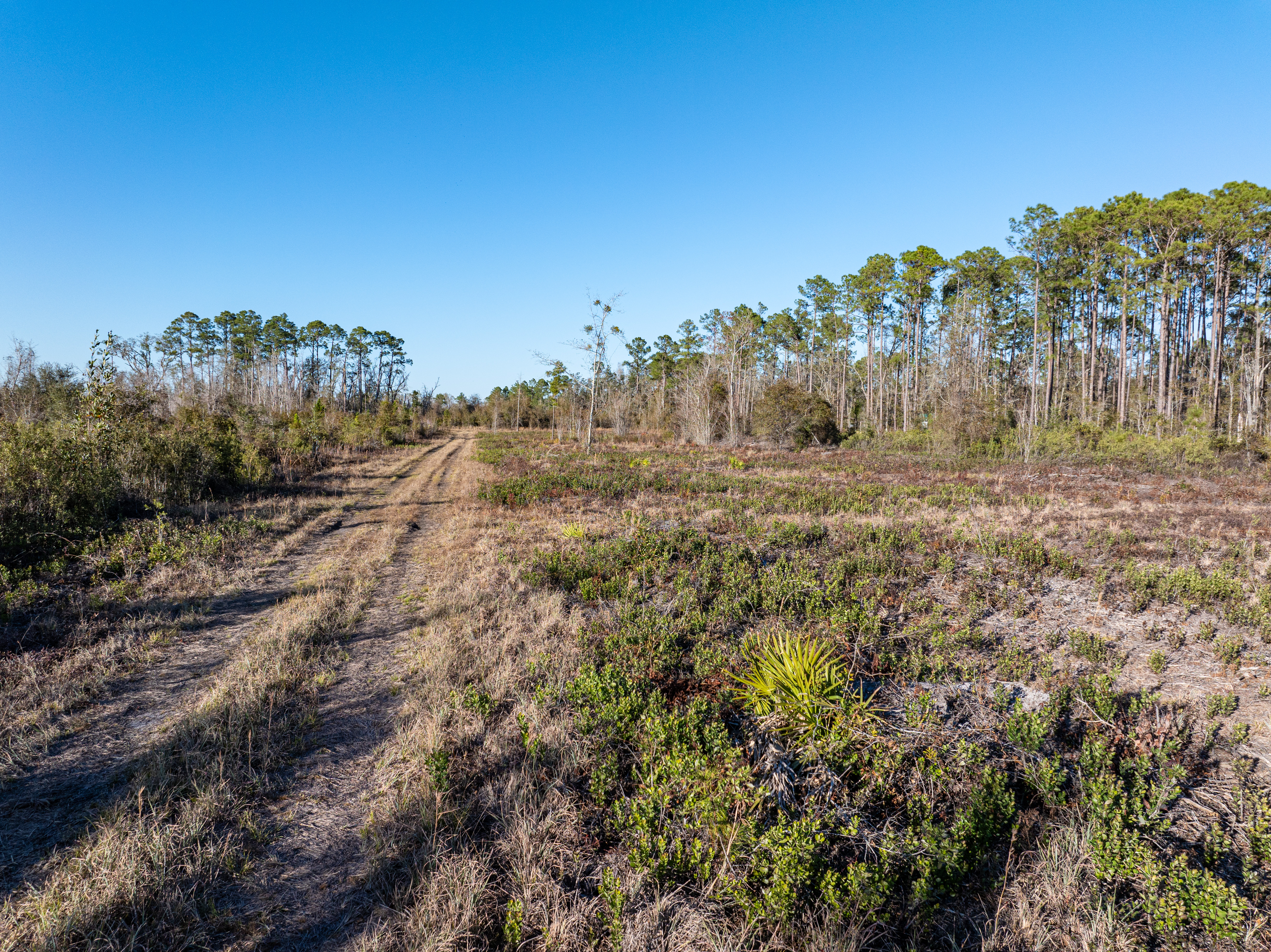 2418 NE OMAR TER, Lake City, Florida, 32055, United States, ,Land,For Sale,2418 NE OMAR TER,1680072