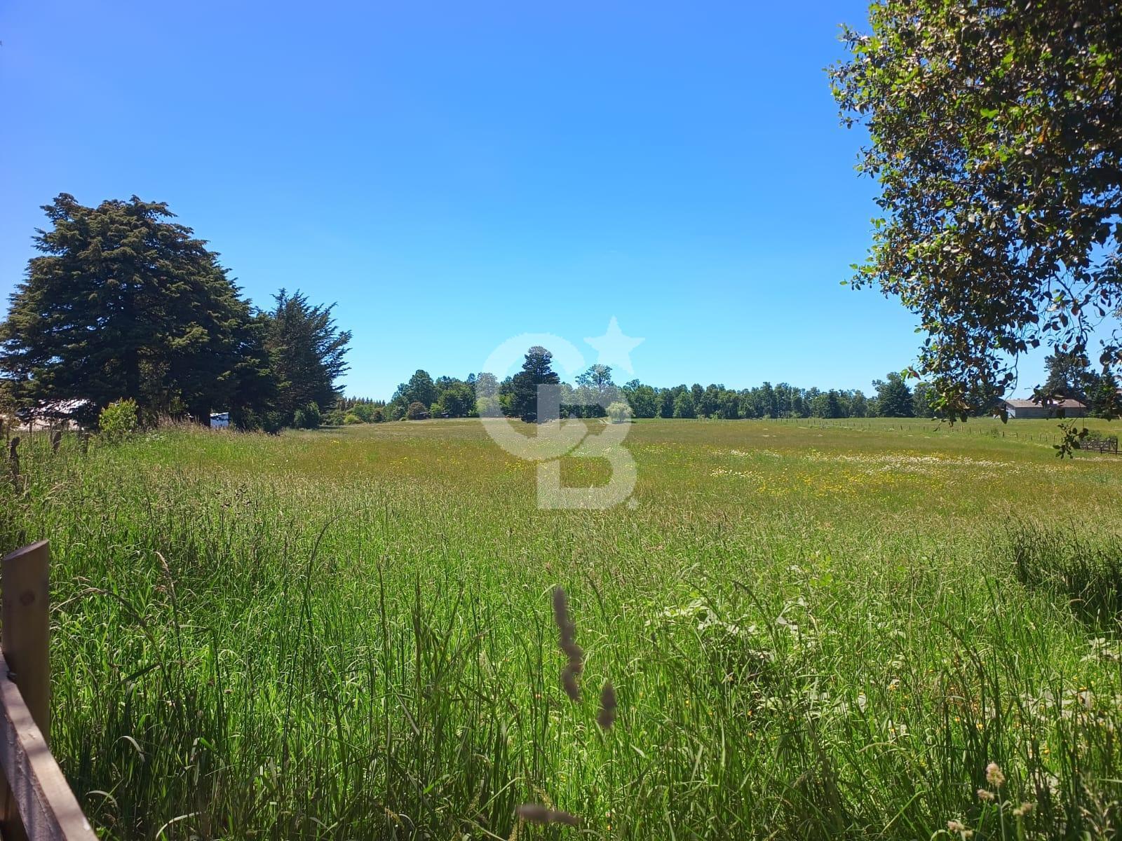 Puerto Varas, Chile, 2 Bedrooms Bedrooms, ,2 BathroomsBathrooms,Residential,For Sale,2003492