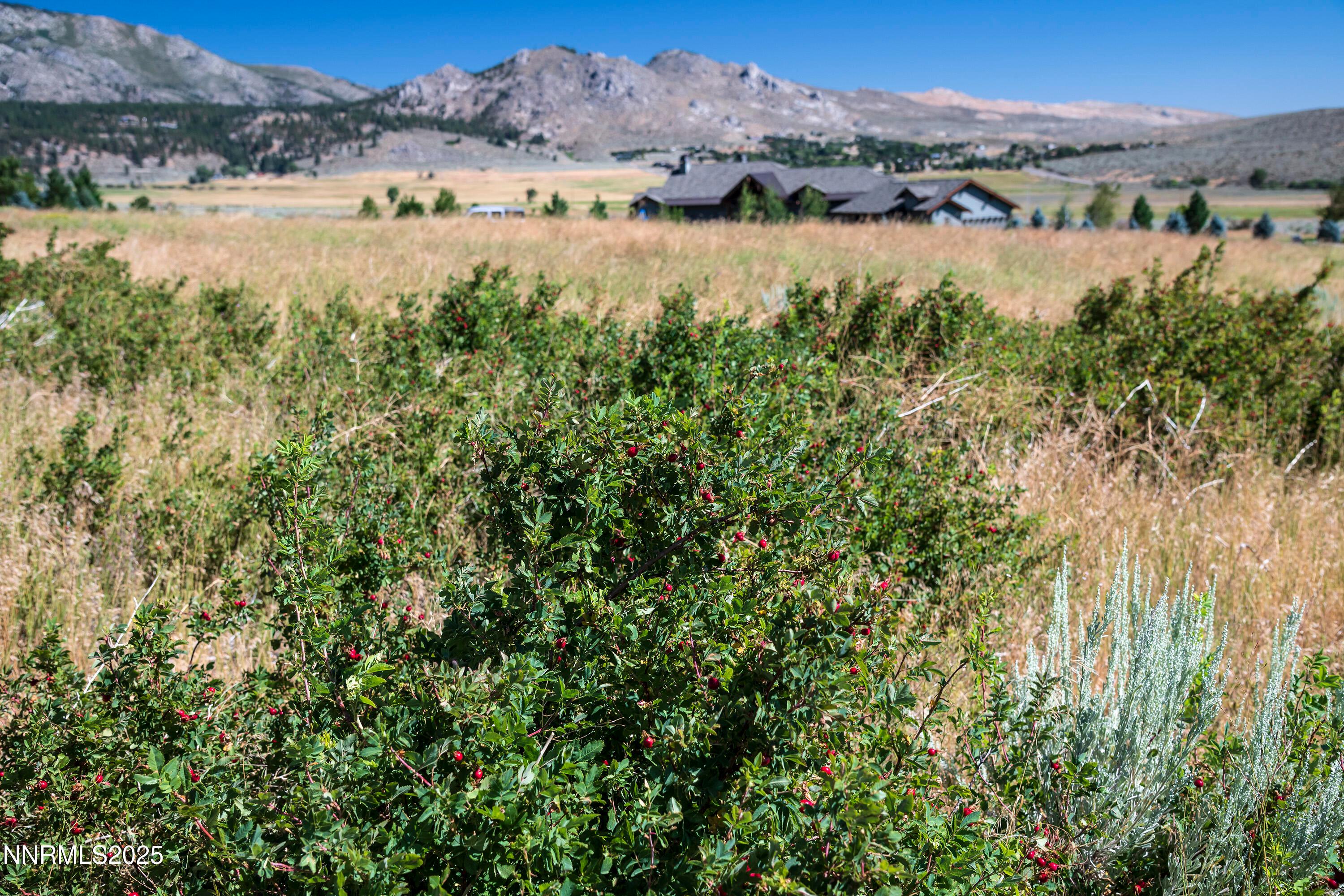 Genoa, Nevada, 89411, United States, ,Residential,For Sale,1939725