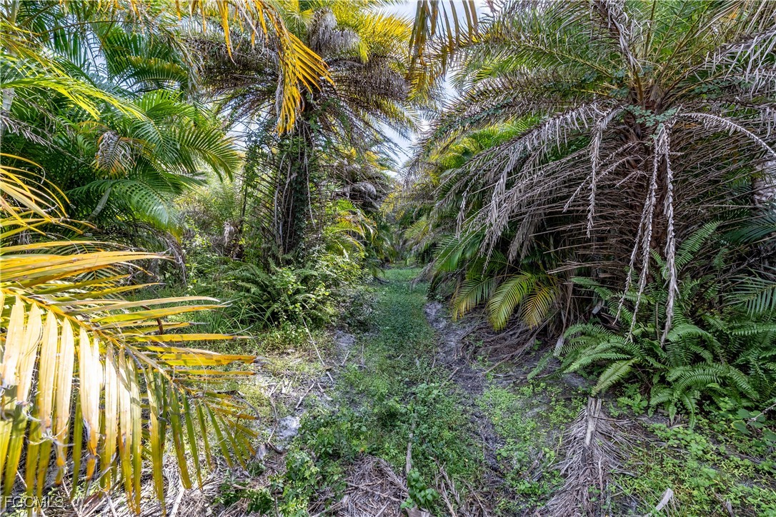 Bokeelia, Florida, 33922, United States, ,Land,For Sale,1980492