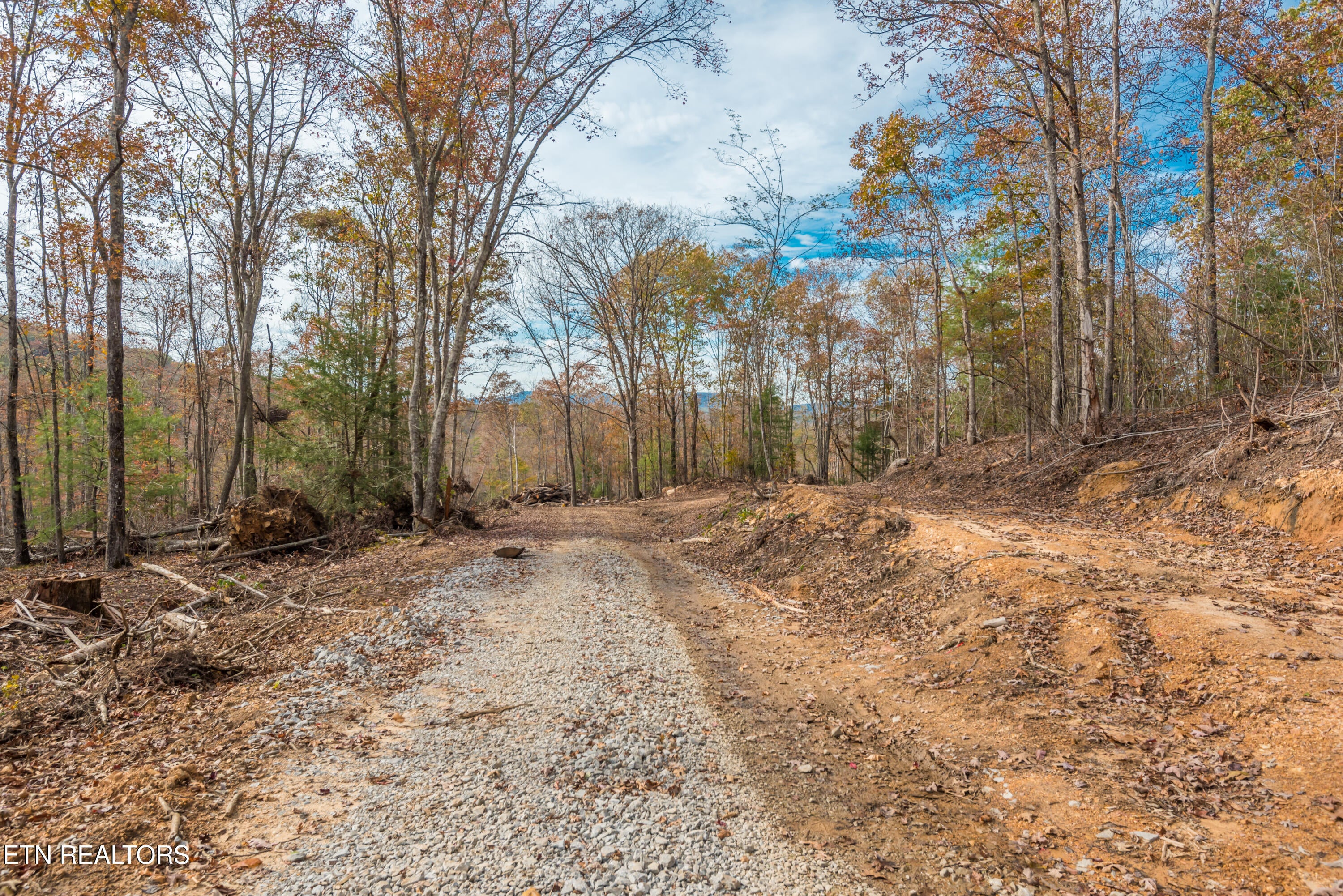 Rockwood, Tennessee, 37854, United States, ,Land,For Sale,1806468