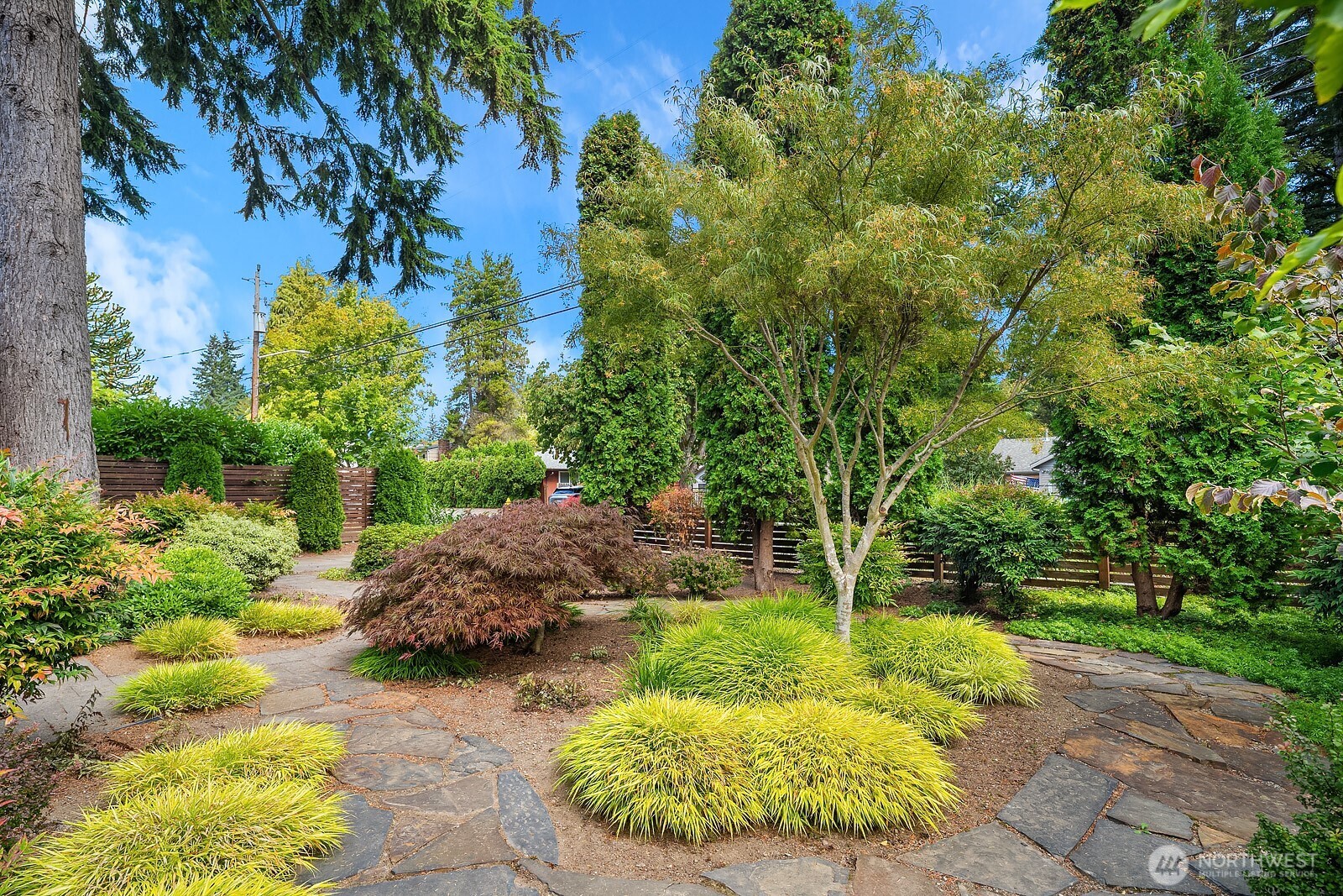 Seattle, Washington, 98125, United States, 4 Bedrooms Bedrooms, ,3 BathroomsBathrooms,Residential,For Sale,1947989