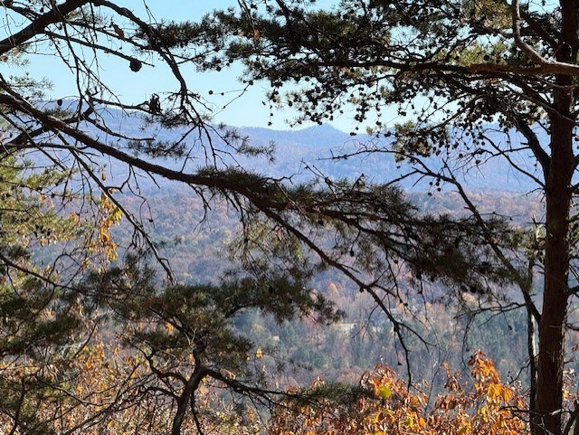 Talking Rock, Georgia, 30175, United States, ,Land,For Sale,1995157