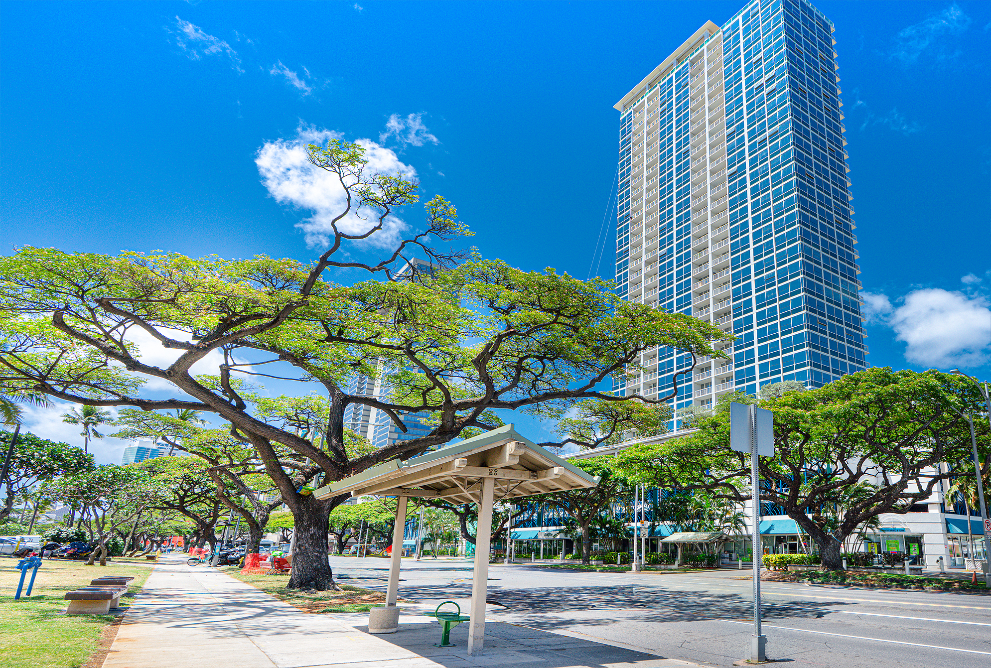  909 Kapiolani, City, Coastline, Mountain, Ocean, Sunset views - 物件實景