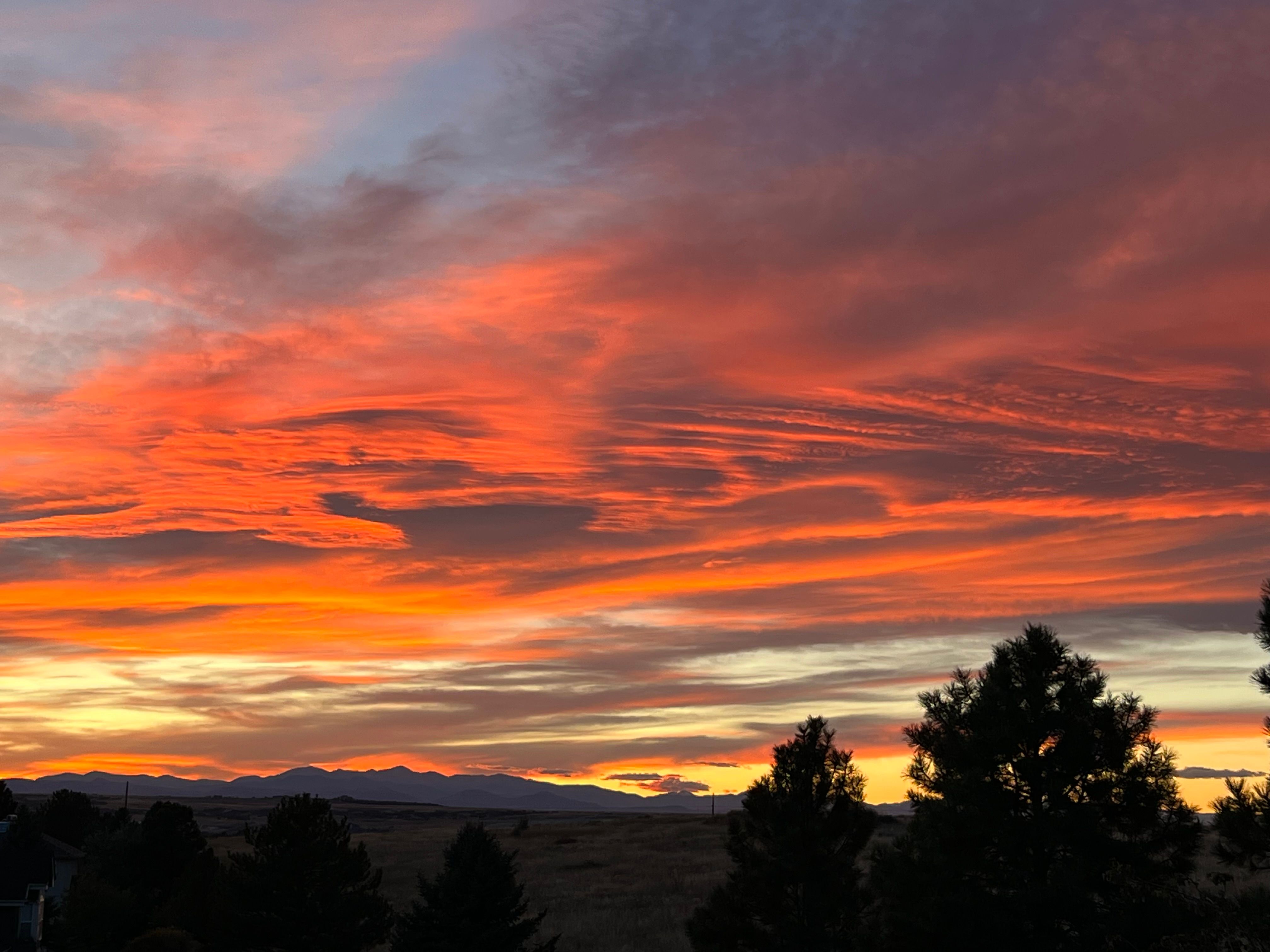  Privacy and a True Connection to Colorado’s Beauty - 物件實景