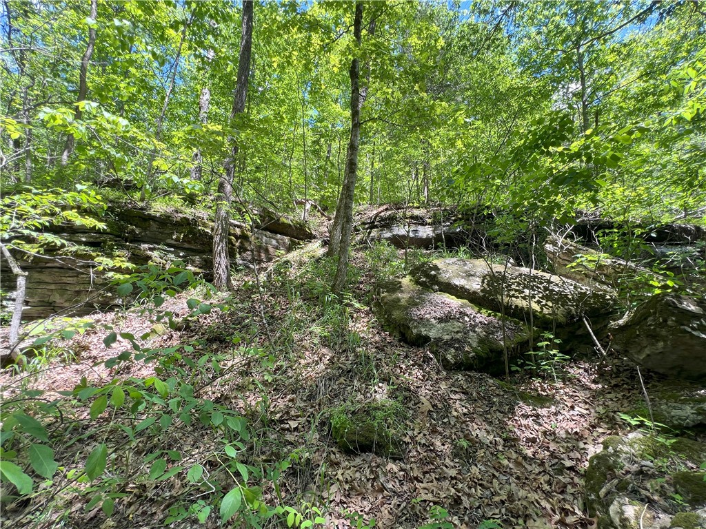 Garfield, Arkansas, 72732, United States, ,Land,For Sale,1804669