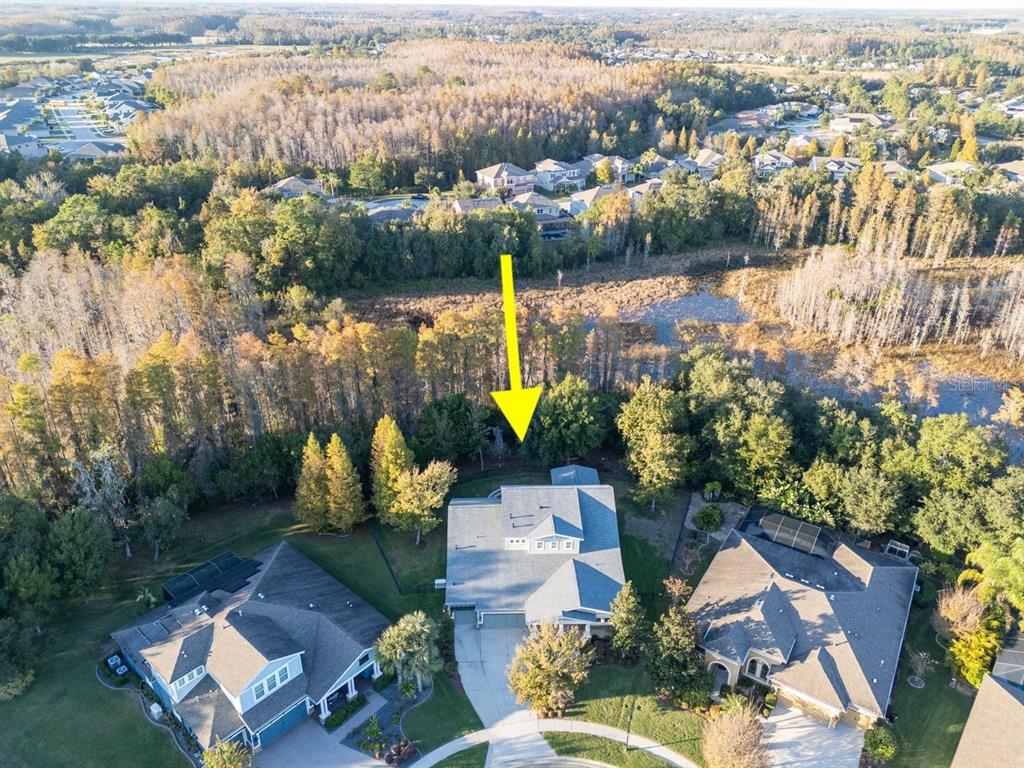 Land O Lakes, Florida, 34638, United States, 5 Bedrooms Bedrooms, ,4 BathroomsBathrooms,Residential,For Sale,2003047