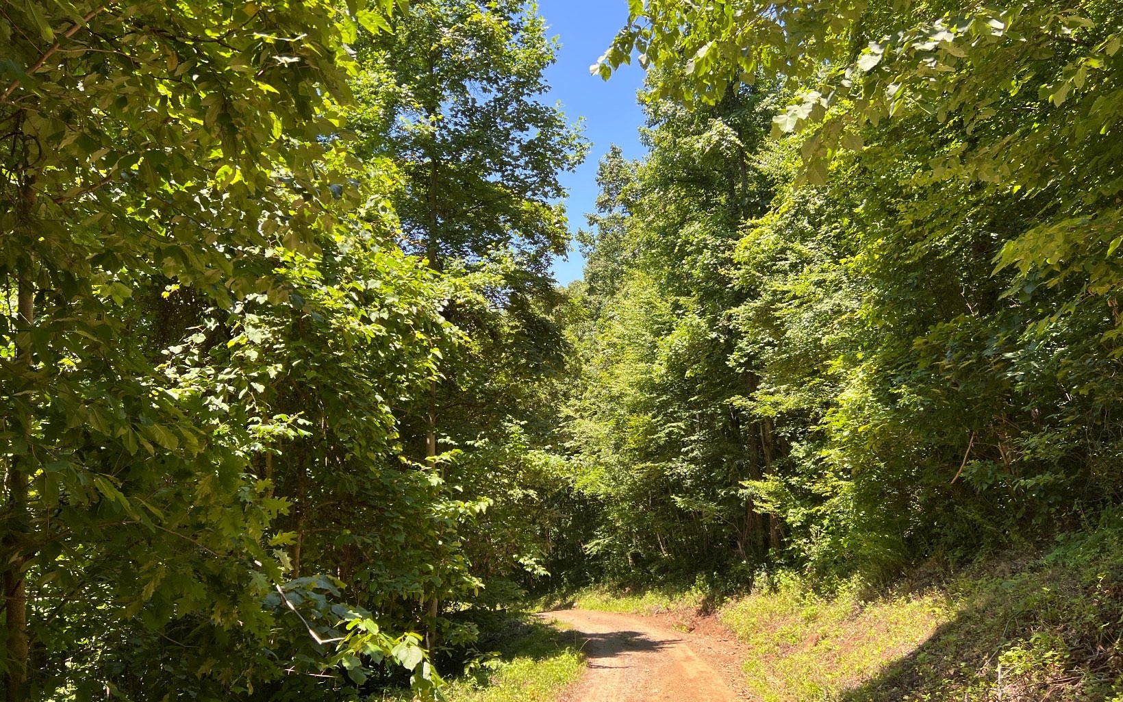 101ac Lori'S Mountain, Hayesville, North Carolina, 28904, United States, ,Residential,For Sale,101ac Lori'S Mountain,1304629