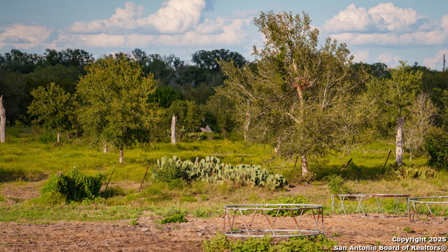 Kingsbury, Texas, 78638, United States, ,Residential,For Sale,1988121