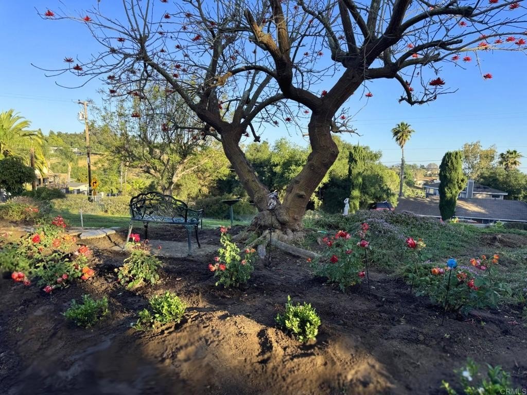 Fallbrook, California, 92028, United States, 3 Bedrooms Bedrooms, ,3 BathroomsBathrooms,Residential,For Sale,1828046