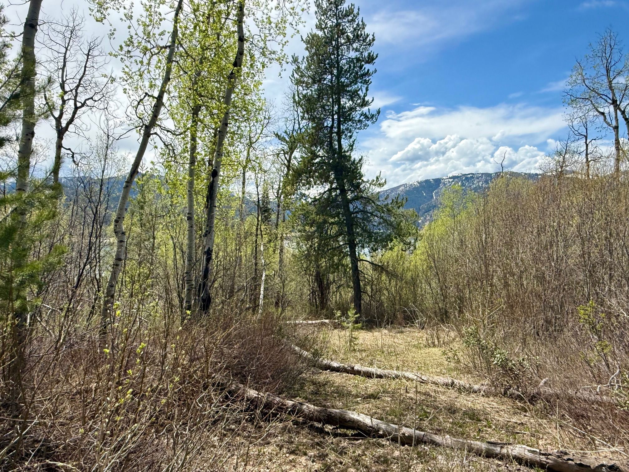  Property Overlooking the Palisades Reservoir - 物件實景