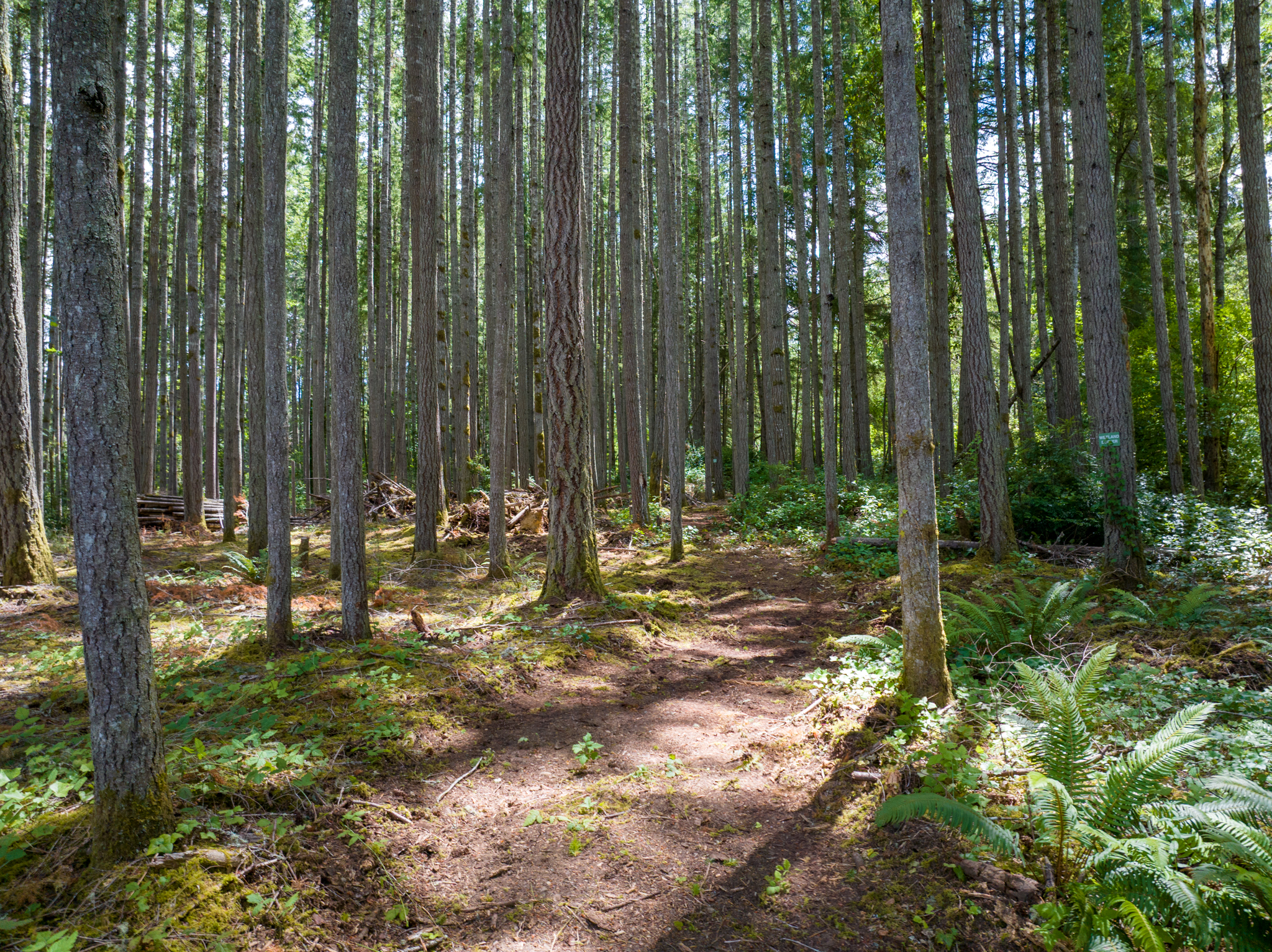  Lot B Bucsit Lane Northeast, Bainbridge Island, WA 98110 - 物件實景