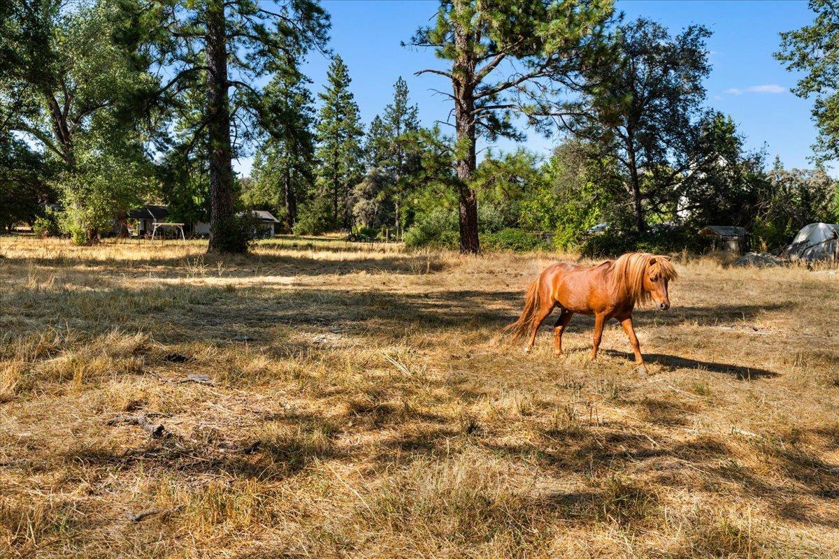 Nevada City, California, 95959, United States, 4 Bedrooms Bedrooms, ,2 BathroomsBathrooms,Residential,For Sale,1916710