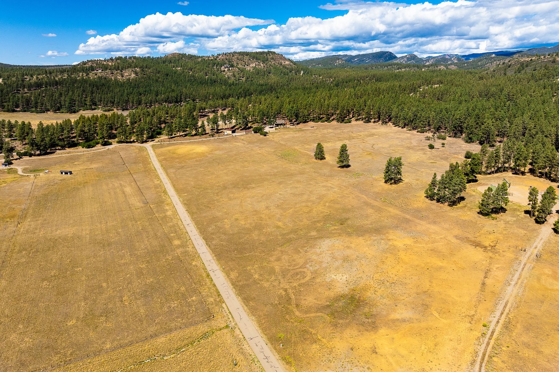  540 Bald Eagle Road, Bayfield, CO 81122 - 物件實景