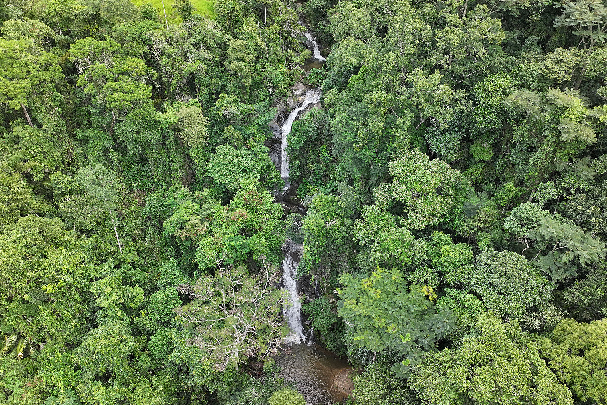  Historic estate with native forest, waterfalls, and ecotourism potential - 物件實景