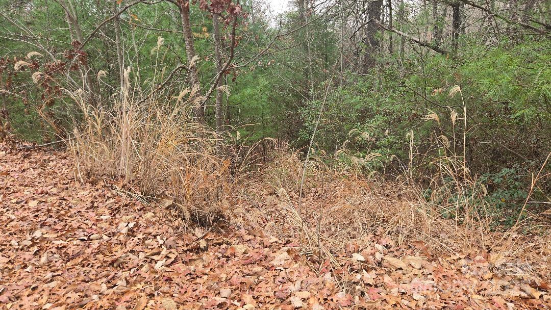 Saluda, North Carolina, 28773, United States, 3 Bedrooms Bedrooms, ,3 BathroomsBathrooms,Residential,For Sale,1996428