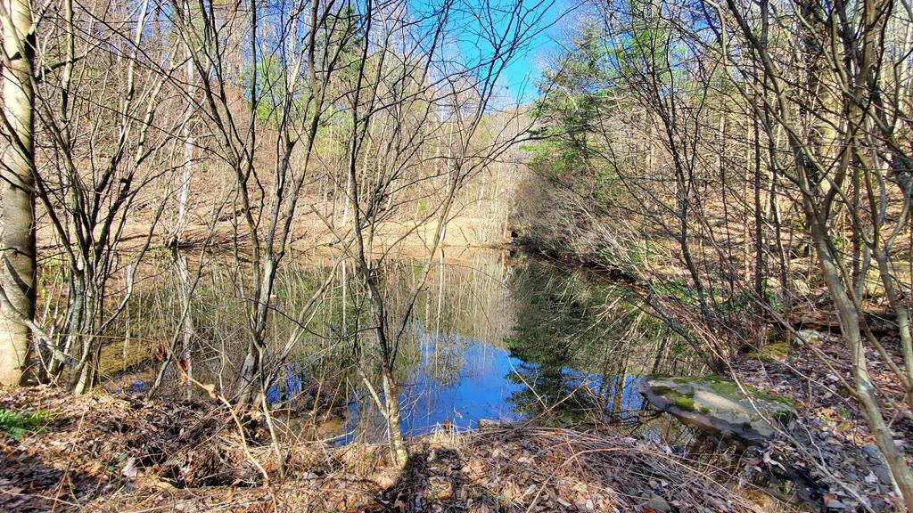 Cherry Log, Georgia, 30522, United States, ,Land,For Sale,1858995