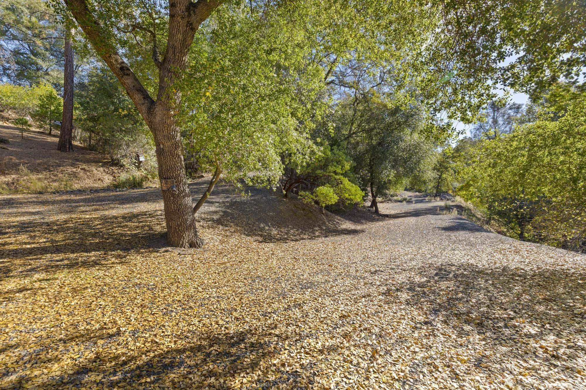 Sonora, California, 95370, United States, ,Residential,For Sale,2010802