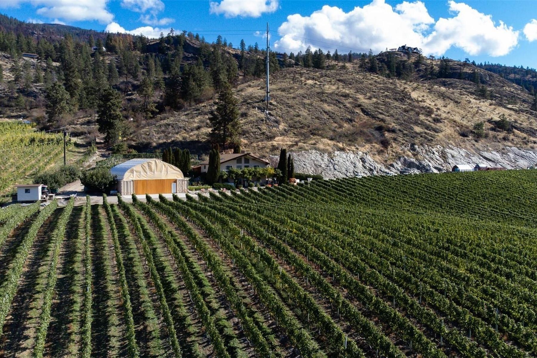  Boutique Okanagan Winery - 物件實景