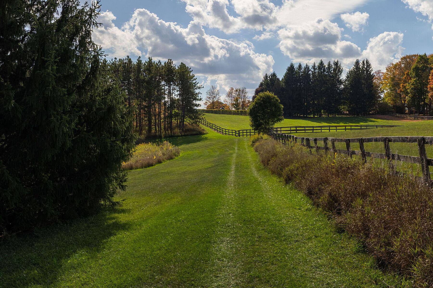  Country Living - 物件實景
